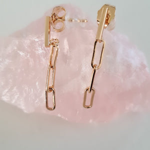Elongated link earrings